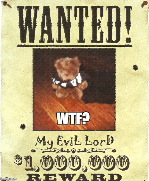 Wanted: Looking for my evil lord | WTF? | image tagged in evil,funny,prank,wtf | made w/ Imgflip meme maker