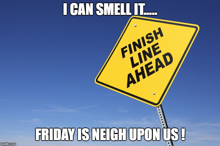 I CAN SMELL IT..... FRIDAY IS NEIGH UPON US ! | image tagged in funny | made w/ Imgflip meme maker