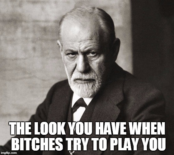 When bitches try to play you | THE LOOK YOU HAVE WHEN BITCHES TRY TO PLAY YOU | image tagged in bitch please,bitches,funny,funny memes,sigmund freud | made w/ Imgflip meme maker