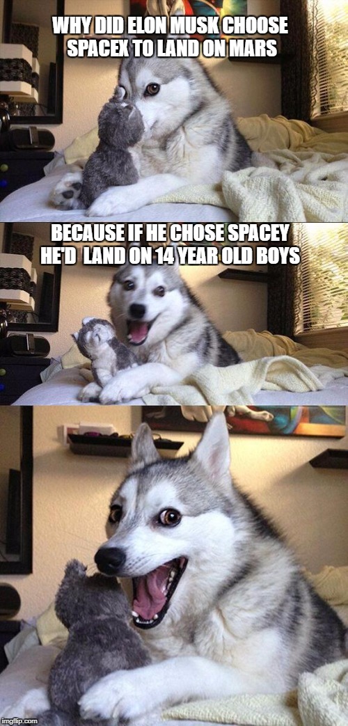 How to bring a long forgotten meme back to life 1O1 | WHY DID ELON MUSK CHOOSE SPACEX TO LAND ON MARS; BECAUSE IF HE CHOSE SPACEY HE'D  LAND ON 14 YEAR OLD BOYS | image tagged in memes,bad pun dog | made w/ Imgflip meme maker