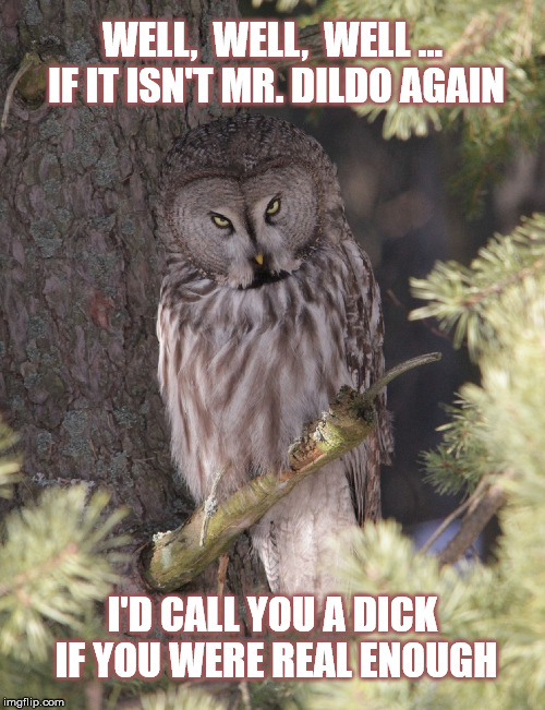 Insult Owl - Such a nice owl | WELL,  WELL,  WELL ... IF IT ISN'T MR. DILDO AGAIN; I'D CALL YOU A DICK IF YOU WERE REAL ENOUGH | image tagged in memes,insult,animals,owls,go away | made w/ Imgflip meme maker