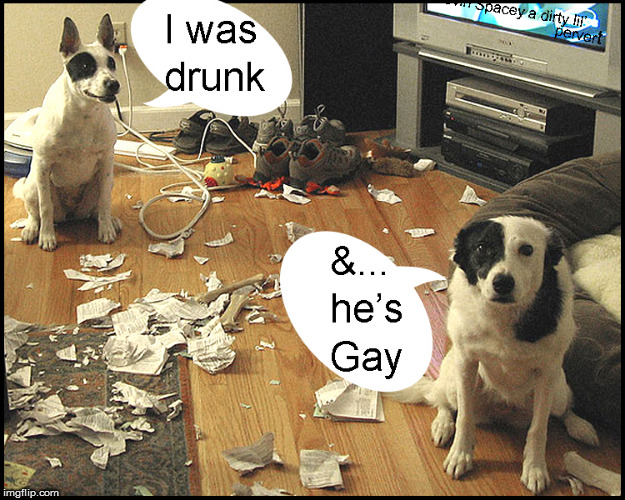 The dog is gay | image tagged in cute dogs,lol so funny,kevin spacey,current events,funny memes,politics lol | made w/ Imgflip meme maker