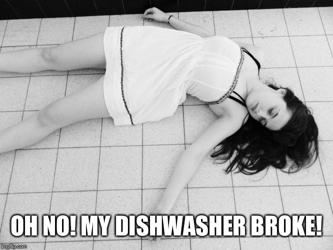 Dead woman | OH NO! MY DISHWASHER BROKE! | image tagged in dead woman | made w/ Imgflip meme maker