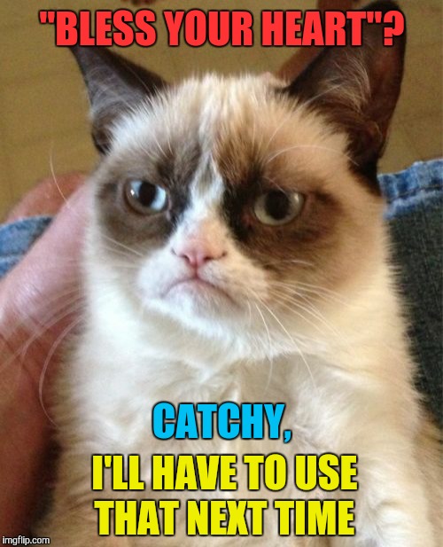 Grumpy Cat Meme | "BLESS YOUR HEART"? I'LL HAVE TO USE THAT NEXT TIME CATCHY, | image tagged in memes,grumpy cat | made w/ Imgflip meme maker