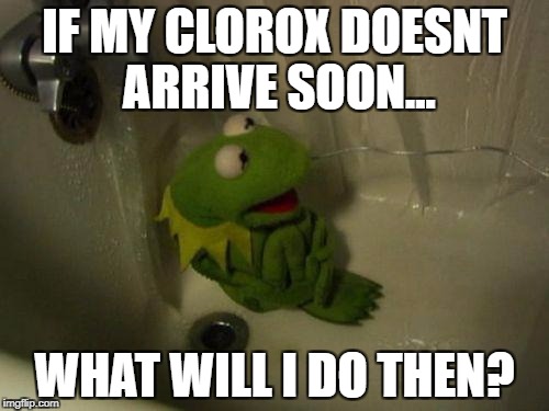 Depressed Kermit | IF MY CLOROX DOESNT ARRIVE SOON... WHAT WILL I DO THEN? | image tagged in depressed kermit | made w/ Imgflip meme maker
