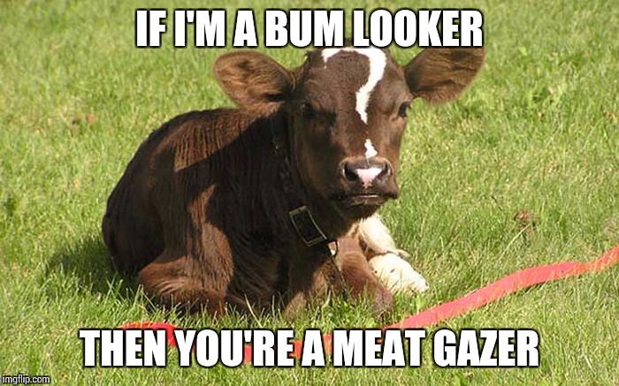 IF I'M A BUM LOOKER THEN YOU'RE A MEAT GAZER | made w/ Imgflip meme maker