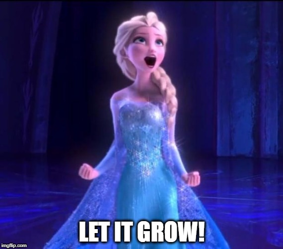 Let it go | LET IT GROW! | image tagged in let it go | made w/ Imgflip meme maker