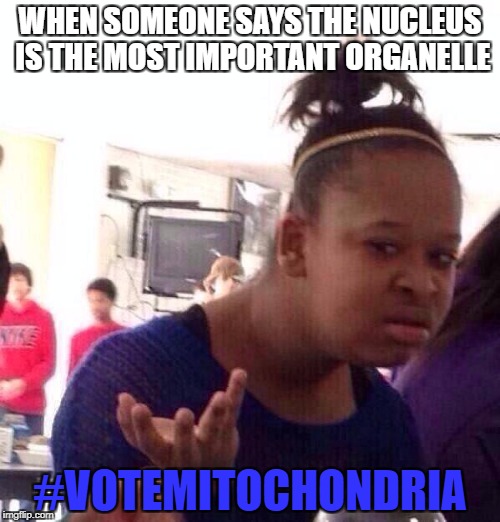 Black Girl Wat Meme | WHEN SOMEONE SAYS THE NUCLEUS IS THE MOST IMPORTANT ORGANELLE; #VOTEMITOCHONDRIA | image tagged in memes,black girl wat | made w/ Imgflip meme maker
