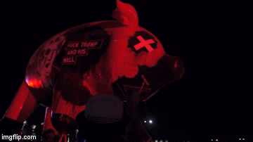 pig | image tagged in gifs | made w/ Imgflip video-to-gif maker