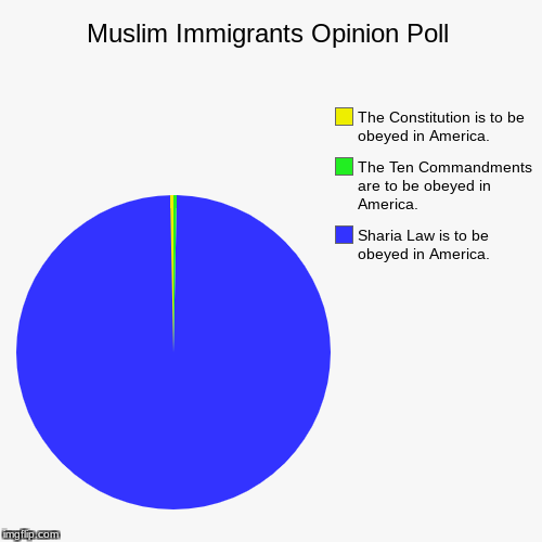 Before you open the door, ask who it is. | image tagged in pie charts,muslims,immigration,constitution,sharia law,america | made w/ Imgflip chart maker