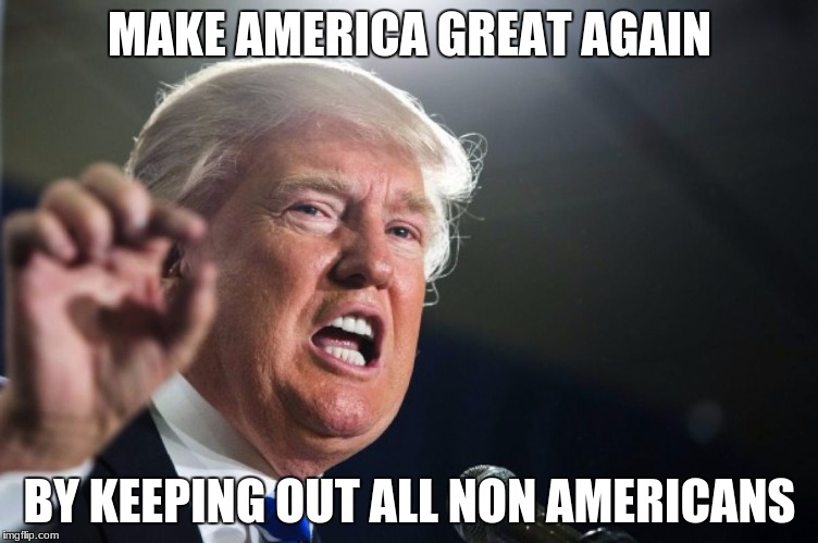 donald trump | MAKE AMERICA GREAT AGAIN; BY KEEPING OUT ALL NON AMERICANS | image tagged in donald trump | made w/ Imgflip meme maker