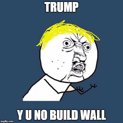 Y U No | TRUMP; Y U NO BUILD WALL | image tagged in memes,y u no | made w/ Imgflip meme maker