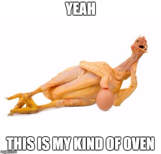 naked chicken | YEAH; THIS IS MY KIND OF OVEN | image tagged in naked chicken | made w/ Imgflip meme maker