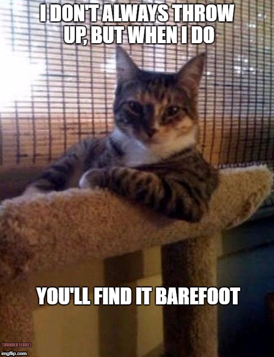 I DON'T ALWAYS THROW UP, BUT WHEN I DO; YOU'LL FIND IT BAREFOOT; THUNDER FERRET | image tagged in most interesting cat in the world | made w/ Imgflip meme maker