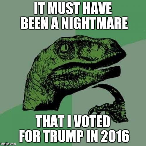 Philosoraptor Meme | IT MUST HAVE BEEN A NIGHTMARE THAT I VOTED FOR TRUMP IN 2016 | image tagged in memes,philosoraptor | made w/ Imgflip meme maker