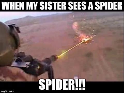 Minigun fire | WHEN MY SISTER SEES A SPIDER; SPIDER!!! | image tagged in minigun fire | made w/ Imgflip meme maker