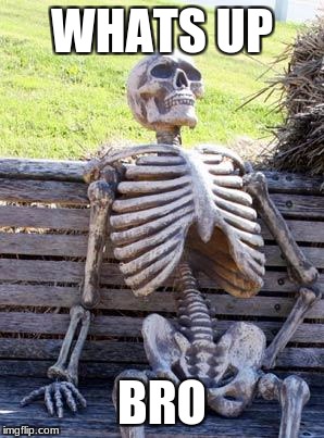 Waiting Skeleton | WHATS UP; BRO | image tagged in memes,waiting skeleton | made w/ Imgflip meme maker