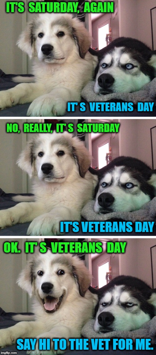 Bad pun dogs | IT'S  SATURDAY,  AGAIN; IT' S  VETERANS  DAY; NO,  REALLY,  IT' S  SATURDAY; IT'S VETERANS DAY; OK.  IT' S  VETERANS  DAY; SAY HI TO THE VET FOR ME. | image tagged in bad pun dogs | made w/ Imgflip meme maker