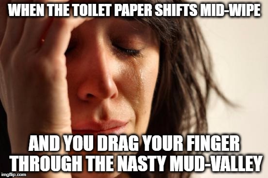 First World Problems | WHEN THE TOILET PAPER SHIFTS MID-WIPE; AND YOU DRAG YOUR FINGER THROUGH THE NASTY MUD-VALLEY | image tagged in memes,first world problems | made w/ Imgflip meme maker
