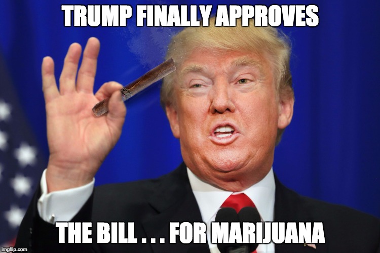 TRUMP FINALLY APPROVES; THE BILL . . . FOR MARIJUANA | image tagged in cancer sticks,donald trump,marijuana,law | made w/ Imgflip meme maker