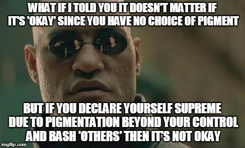 Matrix Morpheus Meme | WHAT IF I TOLD YOU IT DOESN'T MATTER IF IT'S 'OKAY' SINCE YOU HAVE NO CHOICE OF PIGMENT BUT IF YOU DECLARE YOURSELF SUPREME DUE TO PIGMENTAT | image tagged in memes,matrix morpheus | made w/ Imgflip meme maker