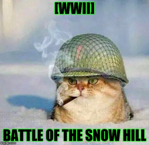 War Cat | [WWII]; BATTLE OF THE SNOW HILL | image tagged in war cat | made w/ Imgflip meme maker