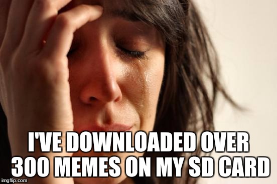 First World Problems Meme | I'VE DOWNLOADED OVER 300 MEMES ON MY SD CARD | image tagged in memes,first world problems | made w/ Imgflip meme maker