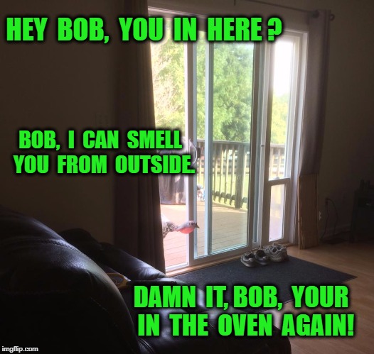 Turkey | HEY  BOB,  YOU  IN  HERE ? BOB,  I  CAN  SMELL  YOU  FROM  OUTSIDE. DAMN  IT, BOB,  YOUR  IN  THE  OVEN  AGAIN! | image tagged in turkey | made w/ Imgflip meme maker