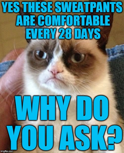 UGH!! | YES THESE SWEATPANTS ARE COMFORTABLE EVERY 28 DAYS; WHY DO YOU ASK? | image tagged in memes,grumpy cat | made w/ Imgflip meme maker