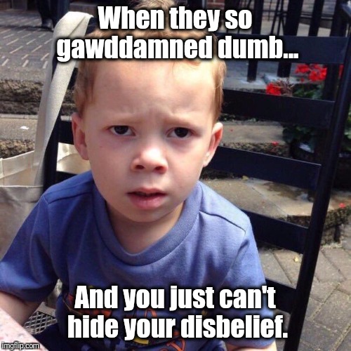 When they so gawddamned dumb... And you just can't hide your disbelief. | image tagged in gavin,gavin memes,gavin faces,dumbass,stupid | made w/ Imgflip meme maker