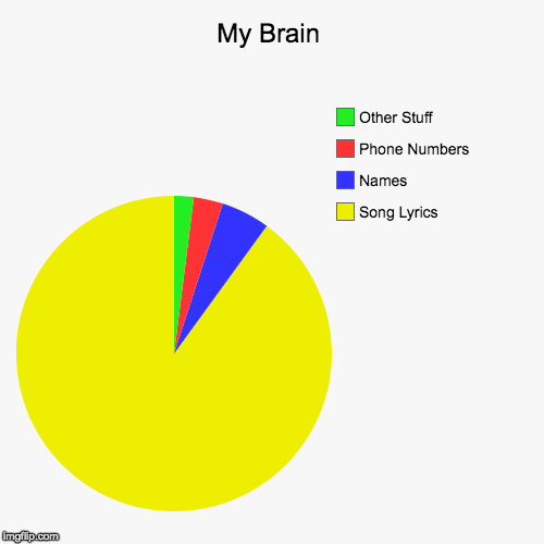 My Brain | image tagged in funny,pie charts | made w/ Imgflip chart maker