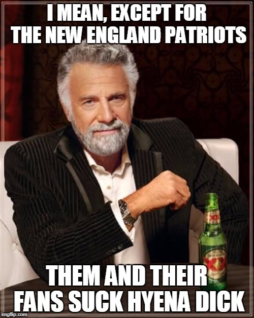 The Most Interesting Man In The World Meme | I MEAN, EXCEPT FOR THE NEW ENGLAND PATRIOTS THEM AND THEIR FANS SUCK HYENA DICK | image tagged in memes,the most interesting man in the world | made w/ Imgflip meme maker