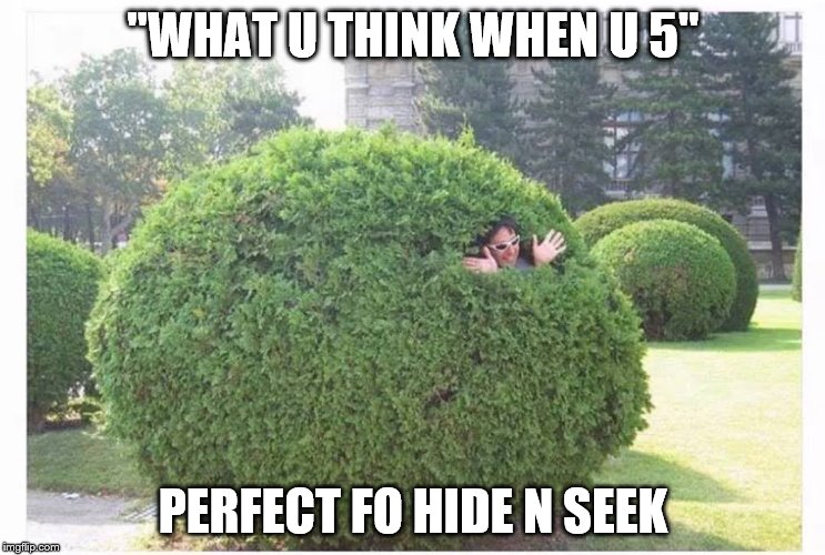 Bush Man | "WHAT U THINK WHEN U 5"; PERFECT FO HIDE N SEEK | image tagged in bush man | made w/ Imgflip meme maker