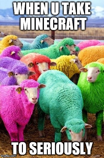 Too much Minecraft? | WHEN U TAKE MINECRAFT; TO SERIOUSLY | image tagged in too much minecraft | made w/ Imgflip meme maker