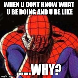 Sad Spiderman Meme | WHEN U DONT KNOW WHAT U BE DOING AND U BE LIKE; ......WHY? | image tagged in memes,sad spiderman,spiderman | made w/ Imgflip meme maker