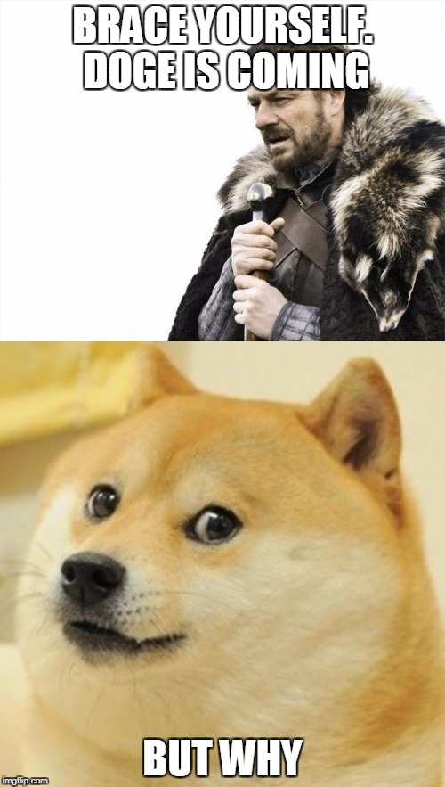Doge is coming | BRACE YOURSELF. DOGE IS COMING; BUT WHY | image tagged in brace yourselves x is coming,doge | made w/ Imgflip meme maker