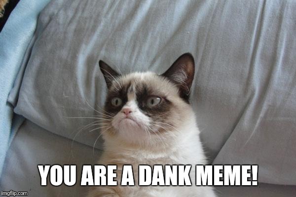 YOU ARE A DANK MEME! | made w/ Imgflip meme maker