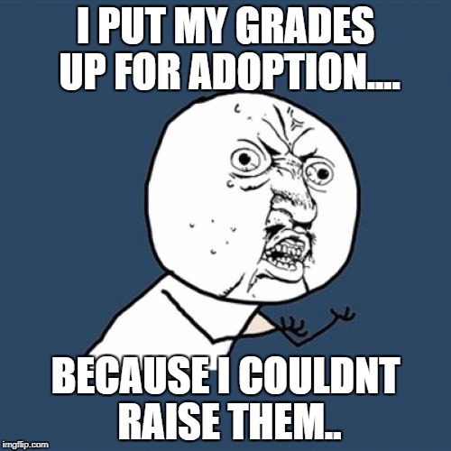 Y U No | I PUT MY GRADES UP FOR ADOPTION.... BECAUSE I COULDNT RAISE THEM.. | image tagged in memes,y u no | made w/ Imgflip meme maker