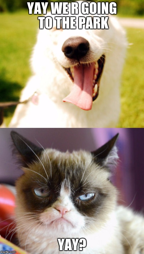 happy dog grumpy cat | YAY WE R GOING TO THE PARK; YAY? | image tagged in happy dog grumpy cat | made w/ Imgflip meme maker