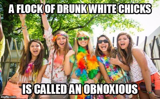 image tagged in white girls,white chicks,drunk white girls | made w/ Imgflip meme maker