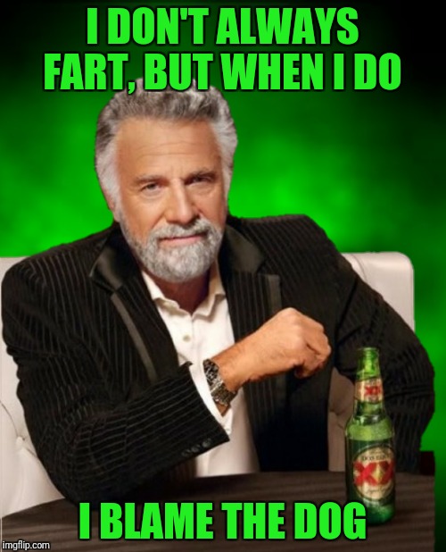 Who am I kidding?  I always fart! | I DON'T ALWAYS FART, BUT WHEN I DO; I BLAME THE DOG | image tagged in the most interesting man in the world,fart,blame the dog | made w/ Imgflip meme maker