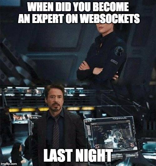 When did you become an expert | WHEN DID YOU BECOME AN EXPERT ON WEBSOCKETS; LAST NIGHT | image tagged in when did you become an expert | made w/ Imgflip meme maker
