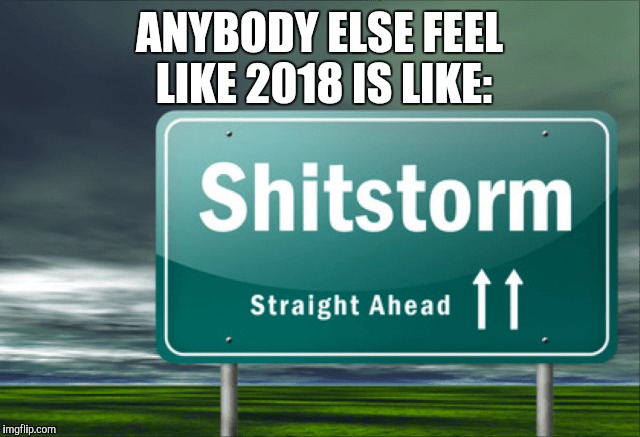 Predictions | ANYBODY ELSE FEEL LIKE 2018 IS LIKE: | image tagged in 2018,usa,fake news | made w/ Imgflip meme maker