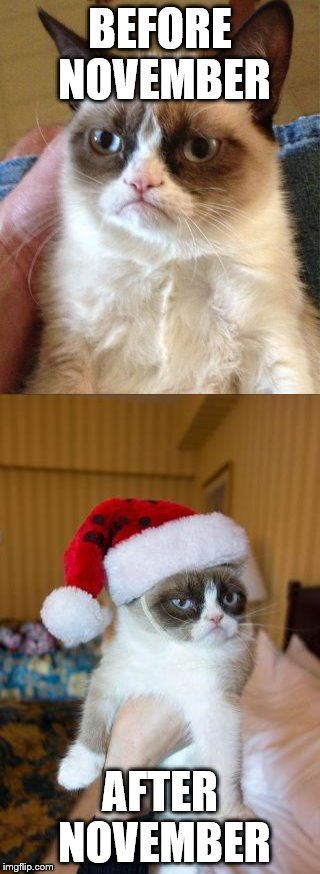 Brace yourself, Christmas is coming | BEFORE NOVEMBER; AFTER NOVEMBER | image tagged in memes,christmas,grumpy cat,grumpy cat christmas | made w/ Imgflip meme maker