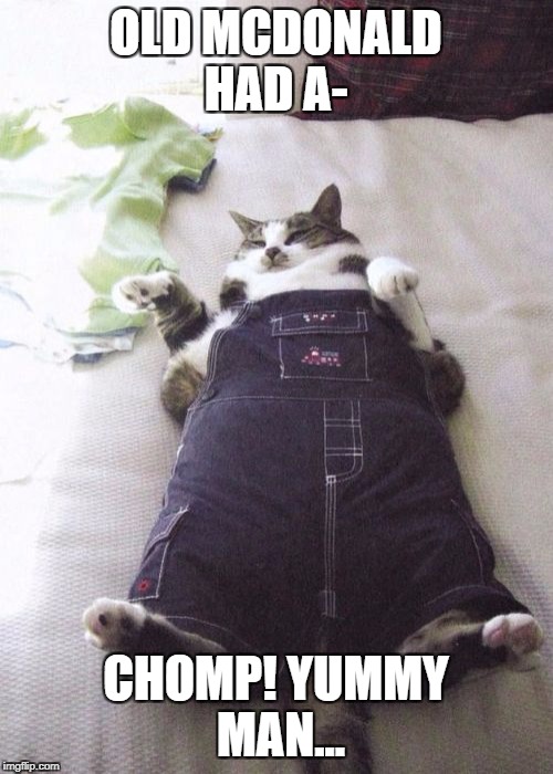 Fat Cat | OLD MCDONALD HAD A-; CHOMP! YUMMY MAN... | image tagged in memes,fat cat | made w/ Imgflip meme maker