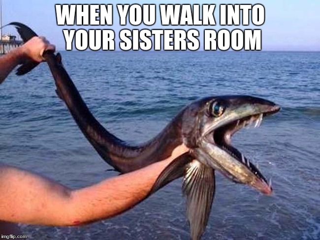 Crazy fish | WHEN YOU WALK INTO YOUR SISTERS ROOM | image tagged in weird science | made w/ Imgflip meme maker