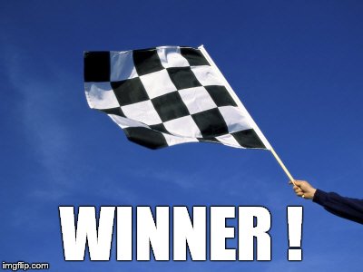 checkered flag waved | WINNER ! | image tagged in checkered flag waved | made w/ Imgflip meme maker