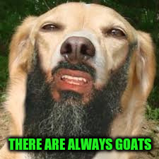 THERE ARE ALWAYS GOATS | made w/ Imgflip meme maker