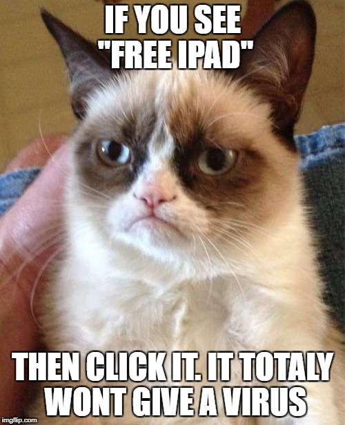 grumpy cat has advise | IF YOU SEE "FREE IPAD"; THEN CLICK IT. IT TOTALY WONT GIVE A VIRUS | image tagged in memes,grumpy cat | made w/ Imgflip meme maker