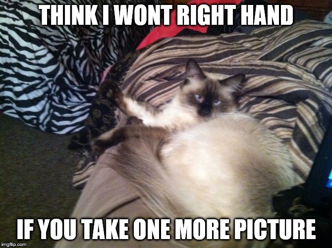 THINK I WONT RIGHT HAND; IF YOU TAKE ONE MORE PICTURE | image tagged in halloween | made w/ Imgflip meme maker